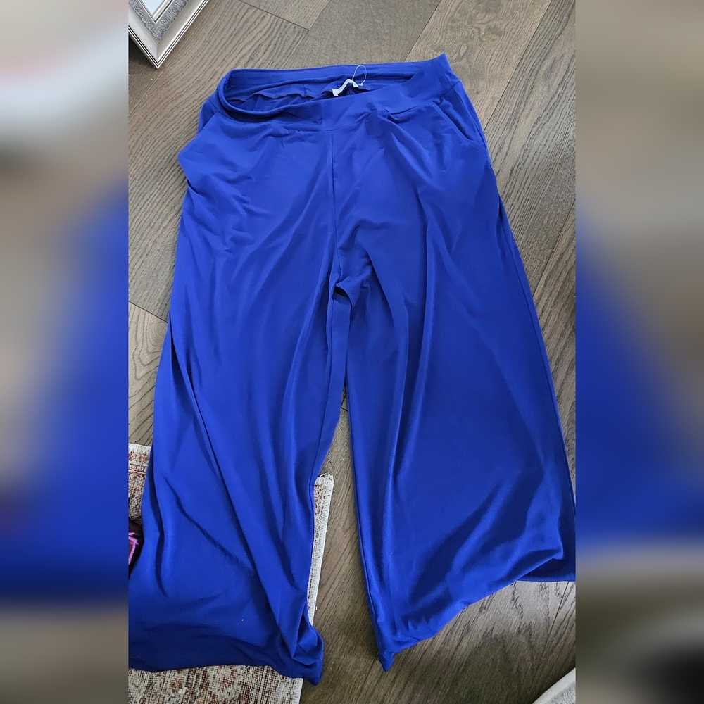 Blue Wide Leg Pants with Relaxed Fit